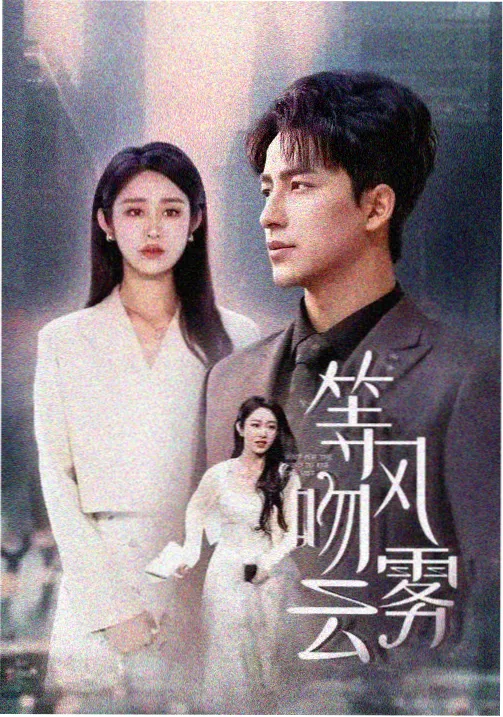 都市谍战剧排行榜第五名作品封面